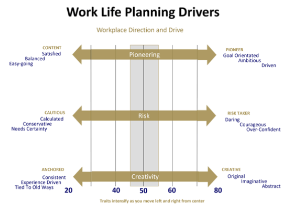Factor and Sub-Factor_Work Life Planning Drivers