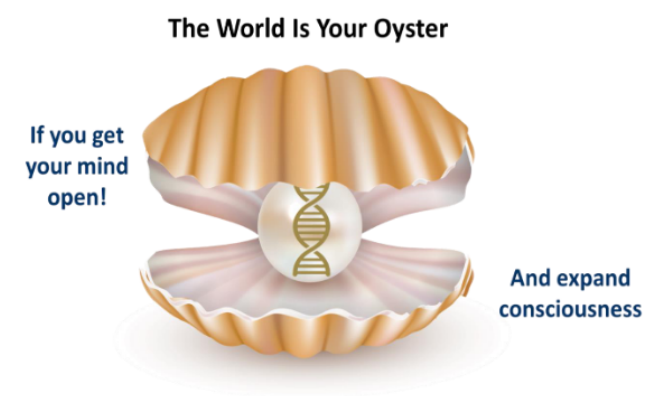 Quantum Leap 360_The World is your Oyster-1